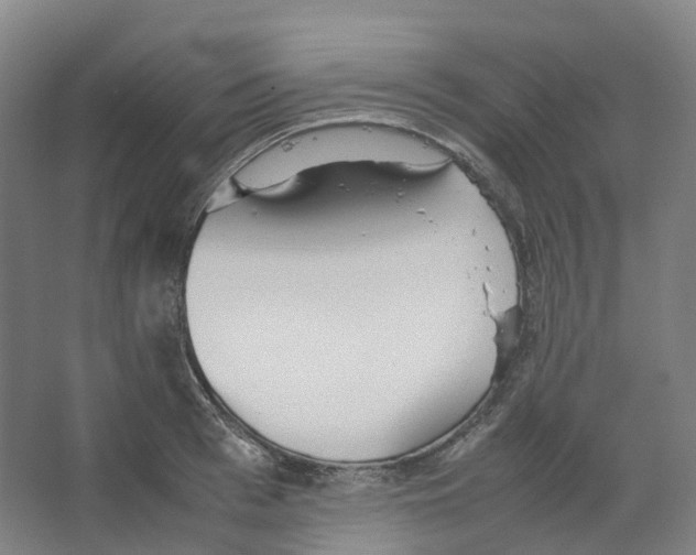 X0000066500993200604141718