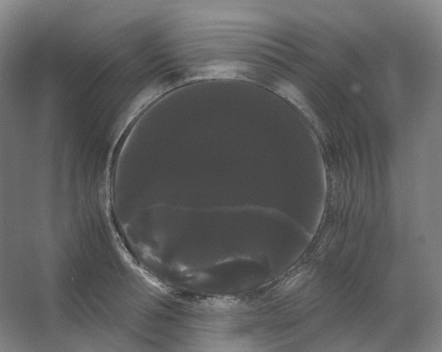 X0000066500994200604141718
