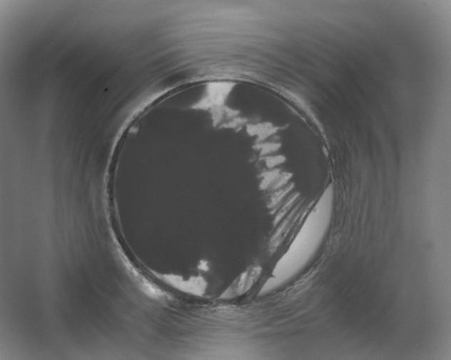 X0000066500995200604141718