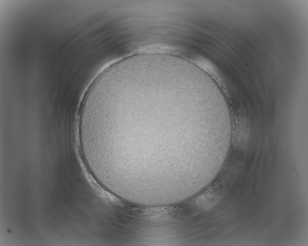 X0000066501000200604141717