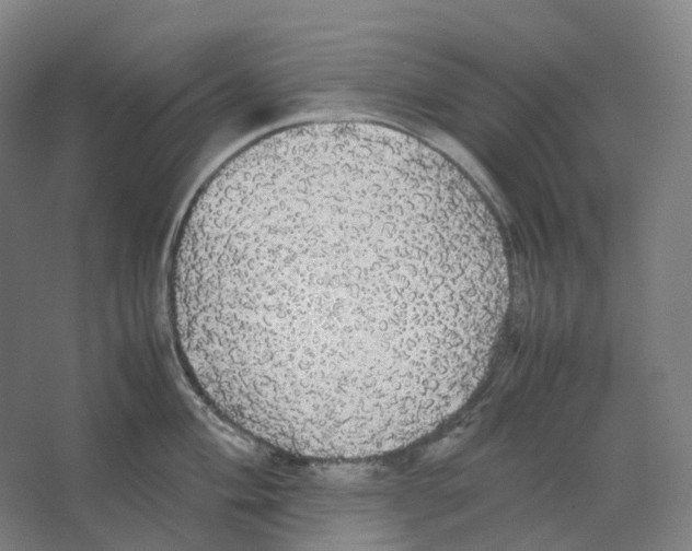 X0000066501004200604141717