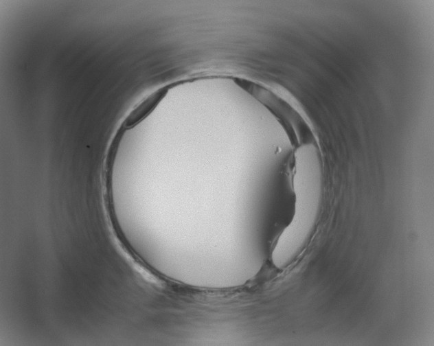 X0000066501005200604141717