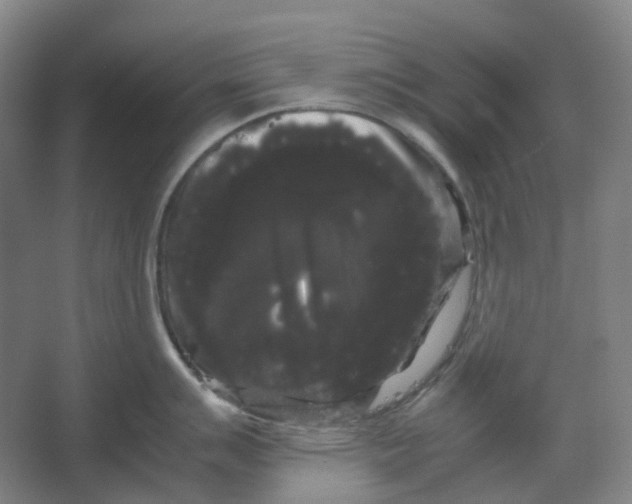X0000066501007200604141717