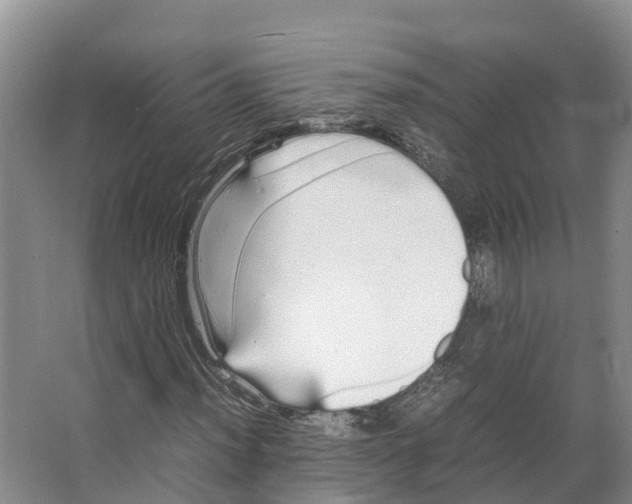 X0000066501012200604141717