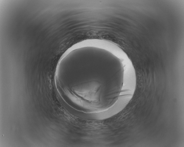 X0000066501013200604141717