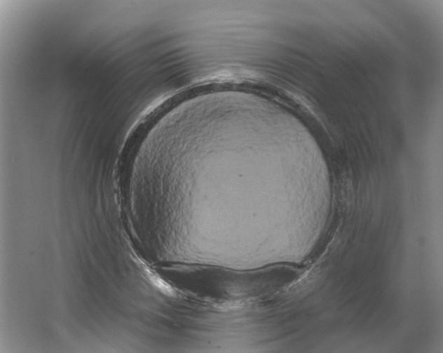 X0000066501018200604141717