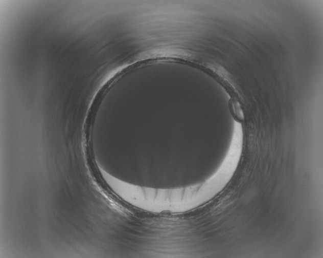 X0000066501024200604141717