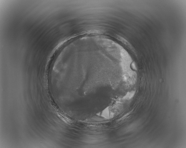 X0000066501027200604141717