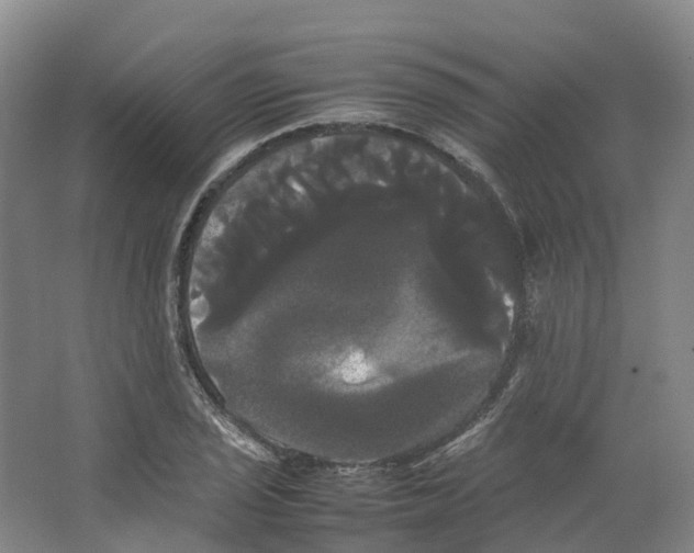 X0000066501029200604141717