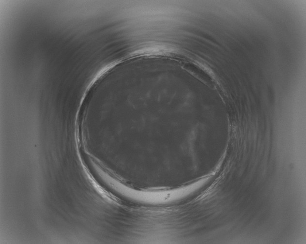 X0000066501034200604141717