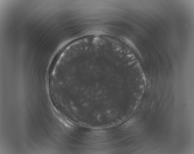 X0000066501035200604141717