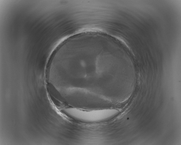 X0000066501038200604141717