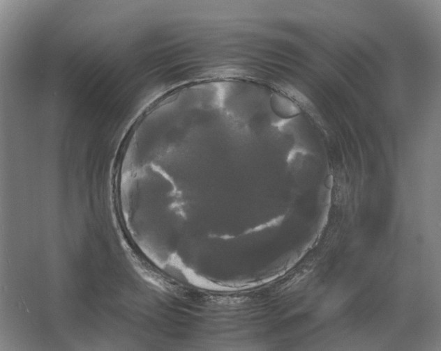 X0000066501039200604141717