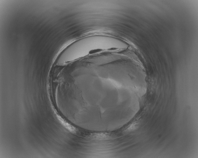 X0000066501042200604141717