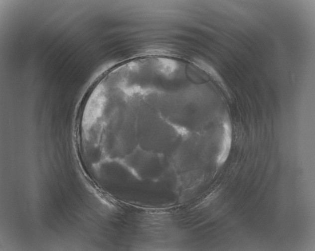 X0000066501043200604141717