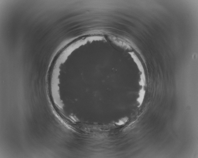 X0000066501045200604141717