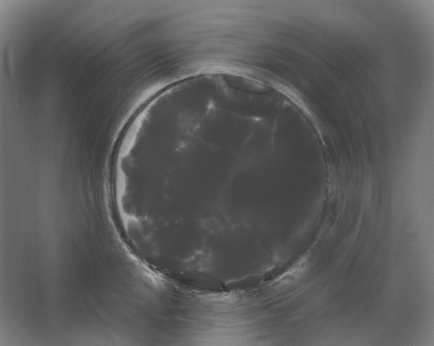 X0000066501048200604141717