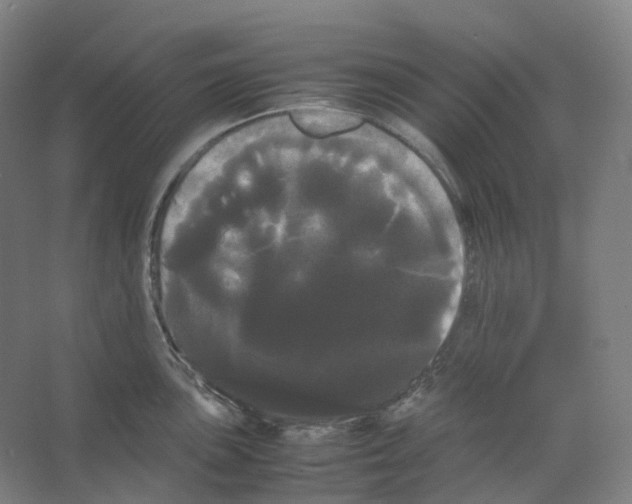 X0000066501051200604141717