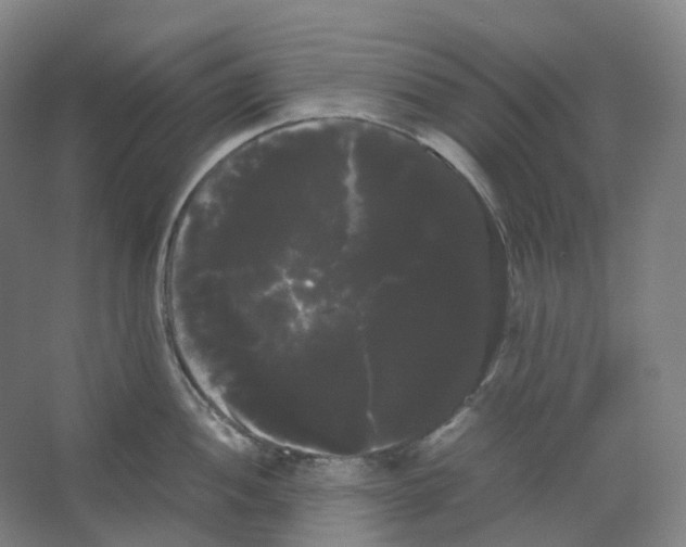 X0000066501052200604141717