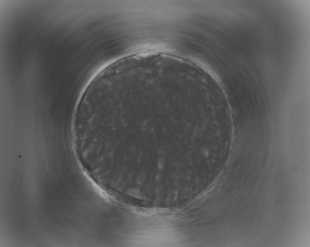 X0000066501056200604141717