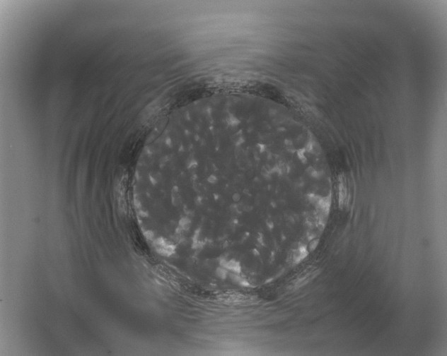 X0000066501059200604141716