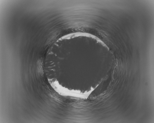 X0000066501060200604141716