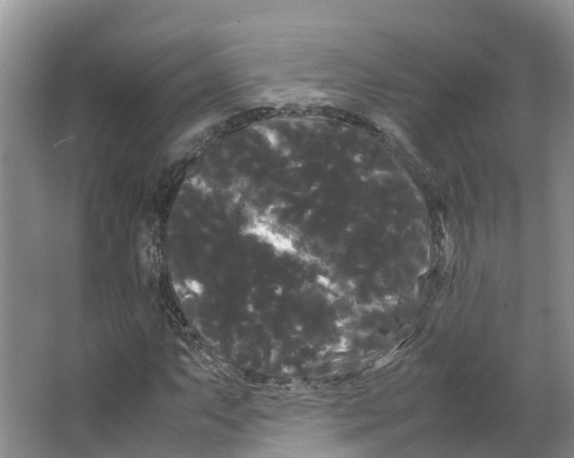 X0000066501063200604141716