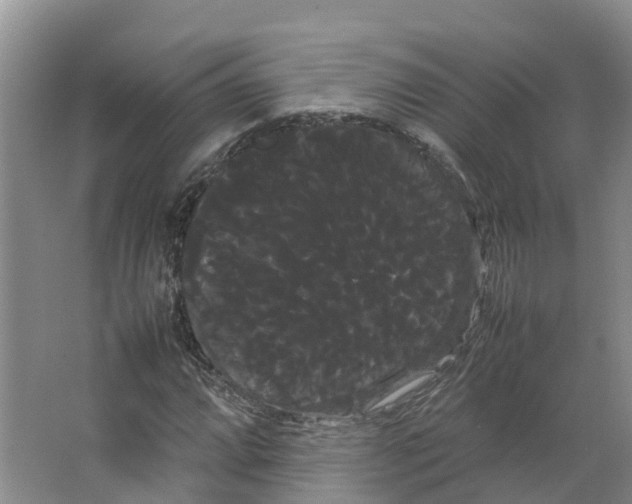 X0000066501064200604141716