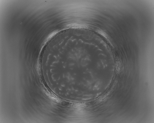 X0000066501074200604141716