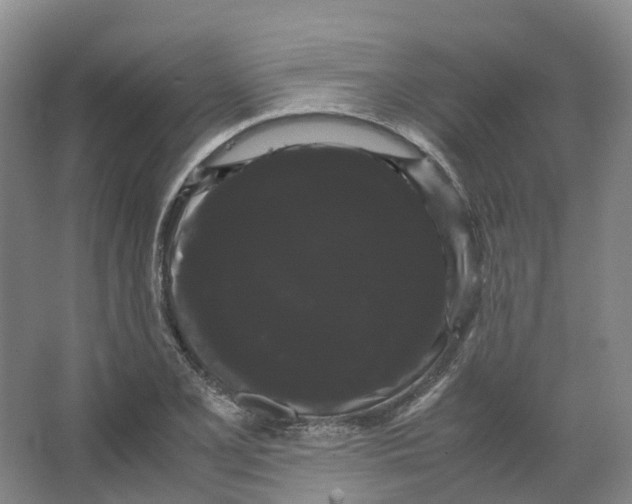 X0000066501077200604141716