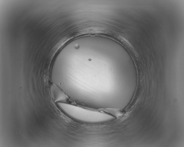 X0000066501081200604141716