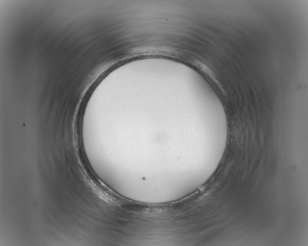 X0000066501082200604141716