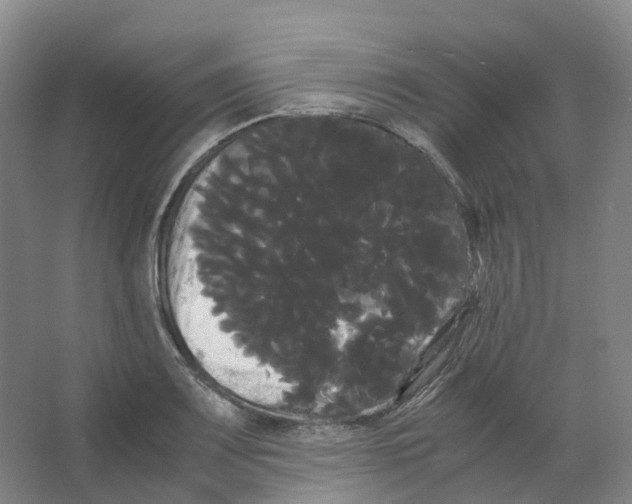 X0000066501083200604141716