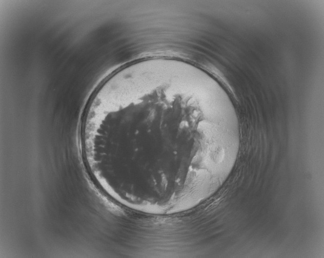 X0000066501084200604141716