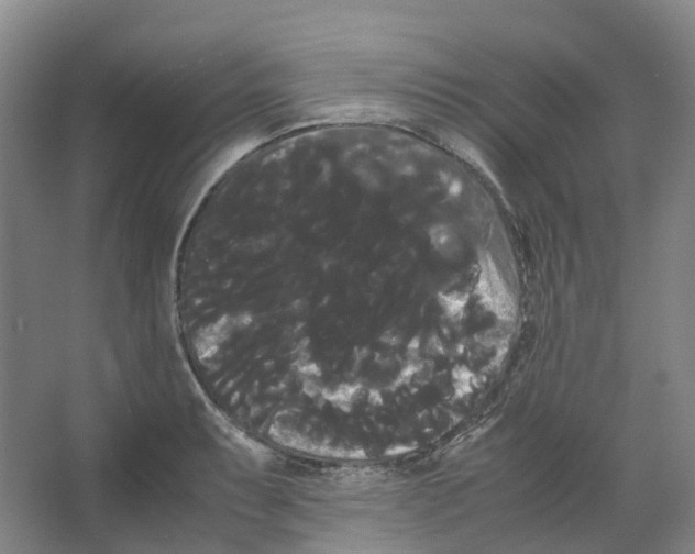 X0000066501087200604141716