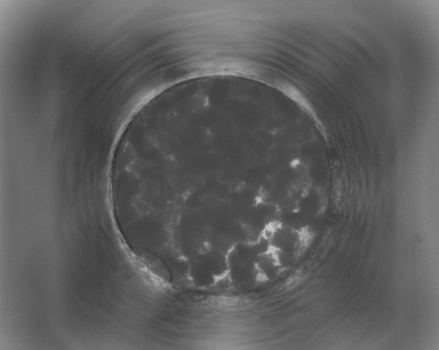 X0000066501088200604141716