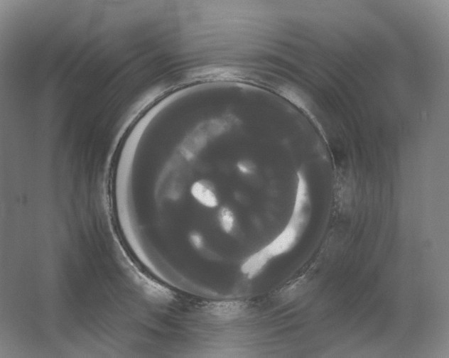 X0000066501090200604141716