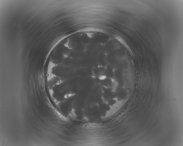 X0000066501092200604141716