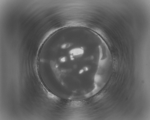 X0000066501094200604141716