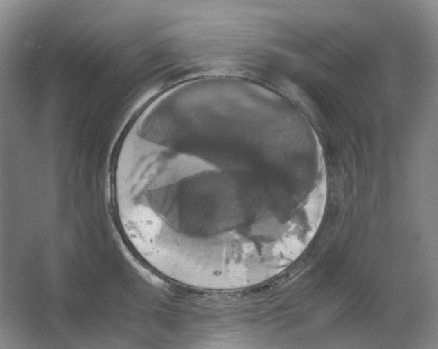 X0000066501095200604141716