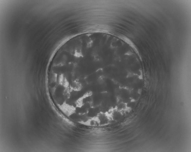 X0000066501096200604141716