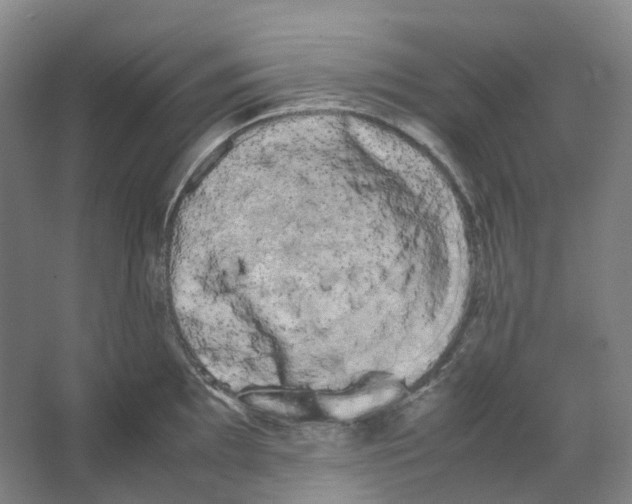 X0000066501097200604141716
