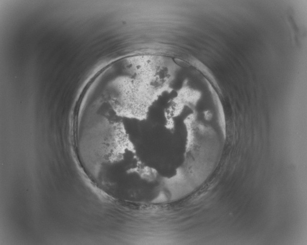 X0000066501099200604141716