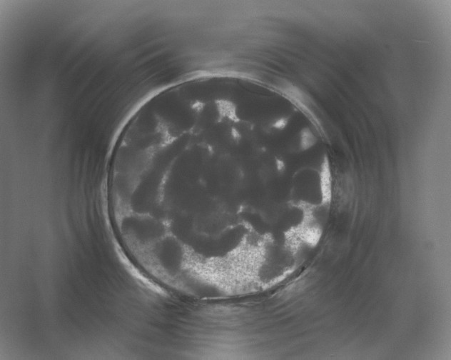 X0000066501100200604141716