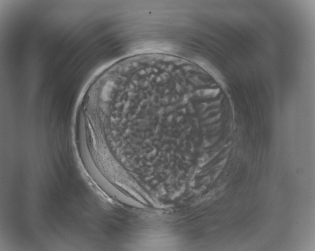 X0000066501104200604141716