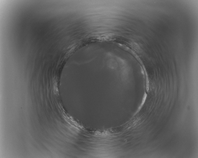 X0000066501106200604141715