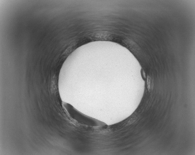 X0000066501107200604141715