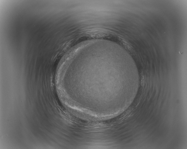 X0000066501108200604141715