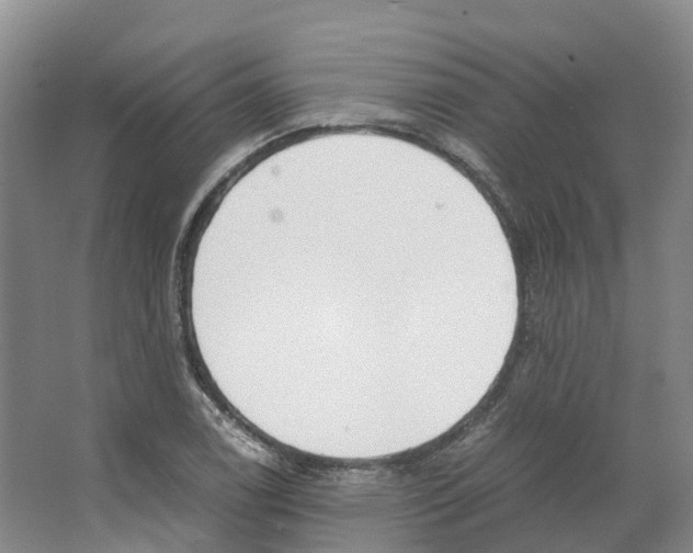 X0000066501122200604141715