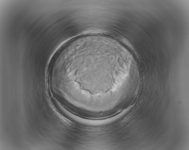 X0000066501124200604141715